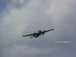 014.jpg (18693 bytes)